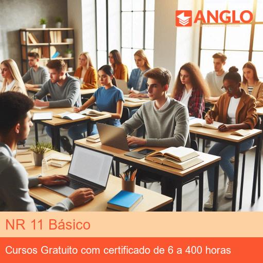 NR 11 Básico